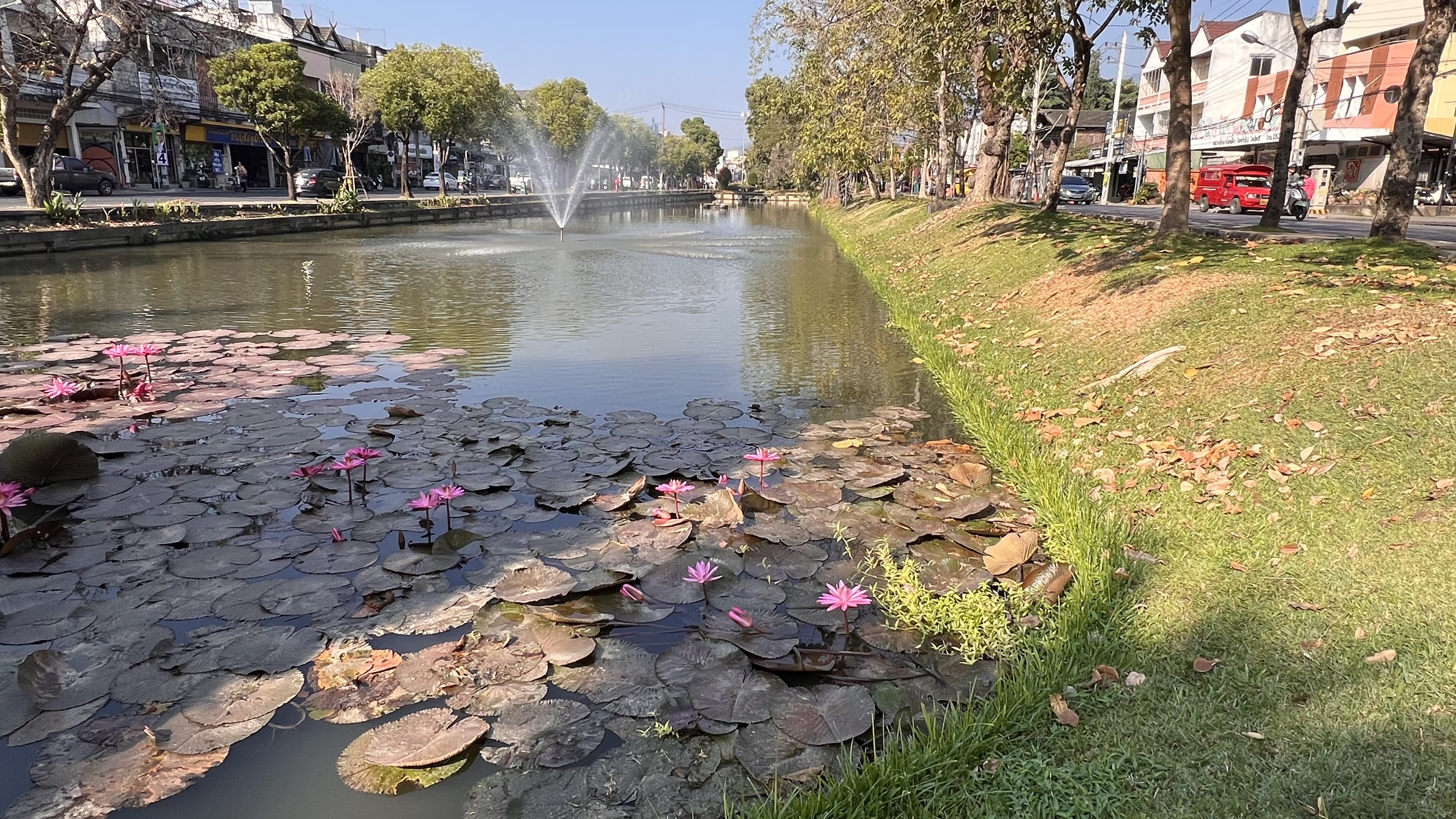 แกลเลอรีคูเมืองและกำแพงเมืองเชียงใหม่ 1