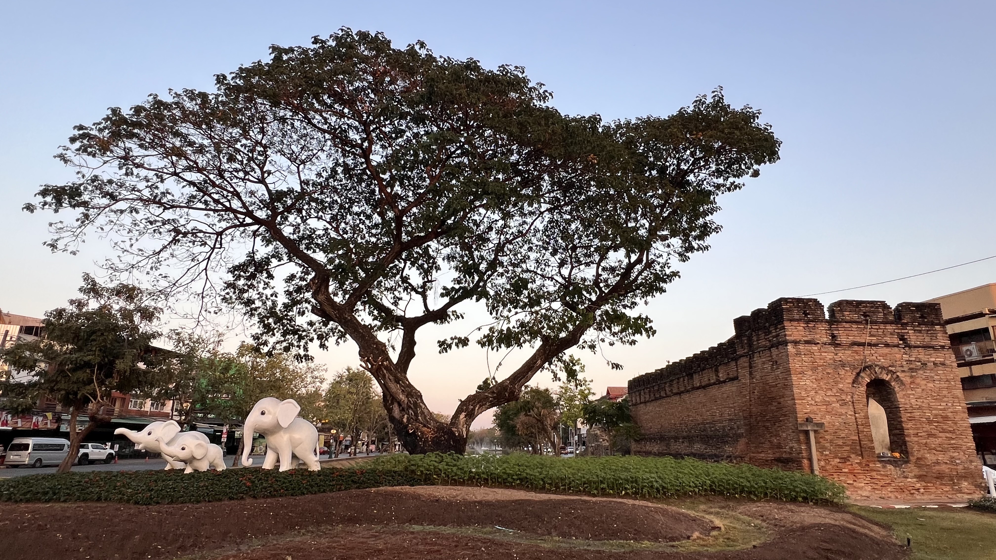 แกลเลอรีคูเมืองและกำแพงเมืองเชียงใหม่ 8