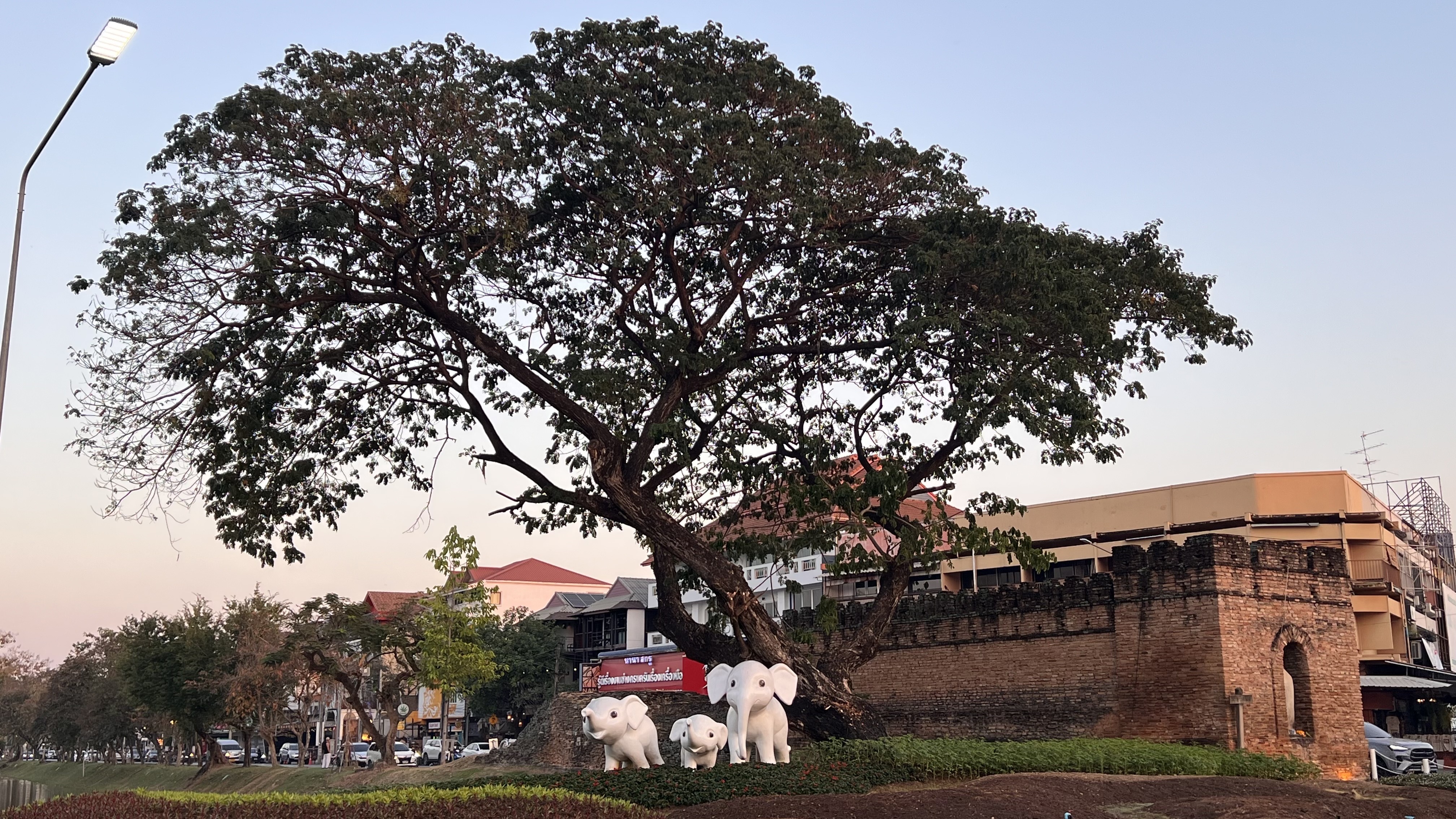 แกลเลอรีคูเมืองและกำแพงเมืองเชียงใหม่ 9