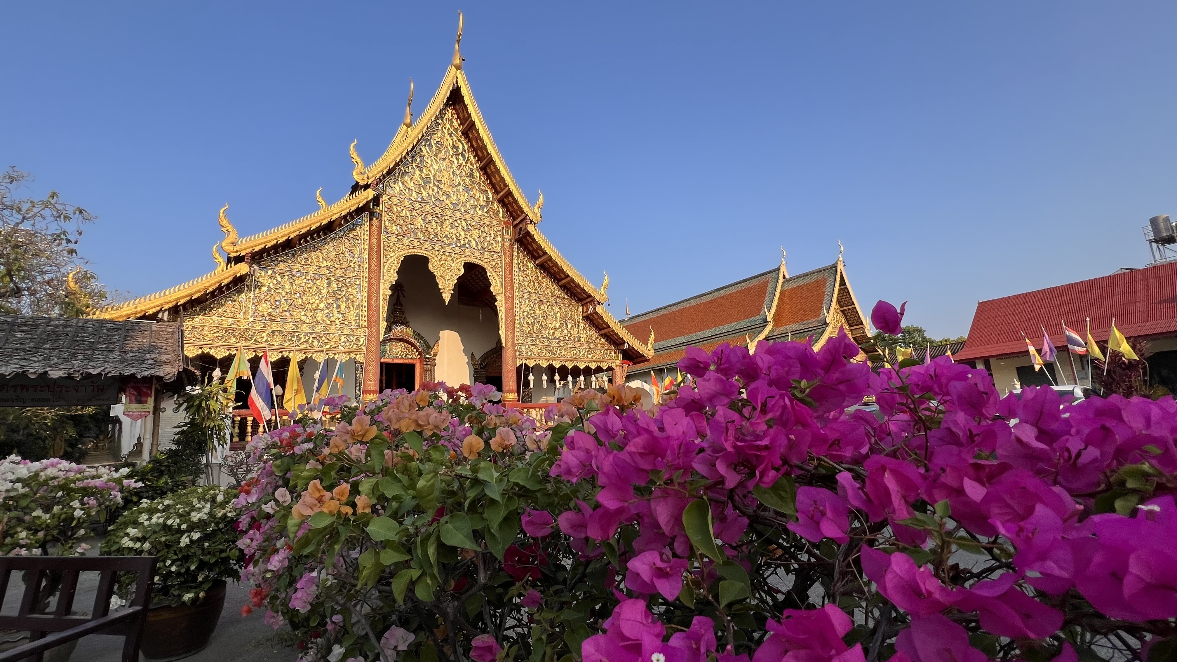 แกลเลอรีวัดเชียงมั่น 3