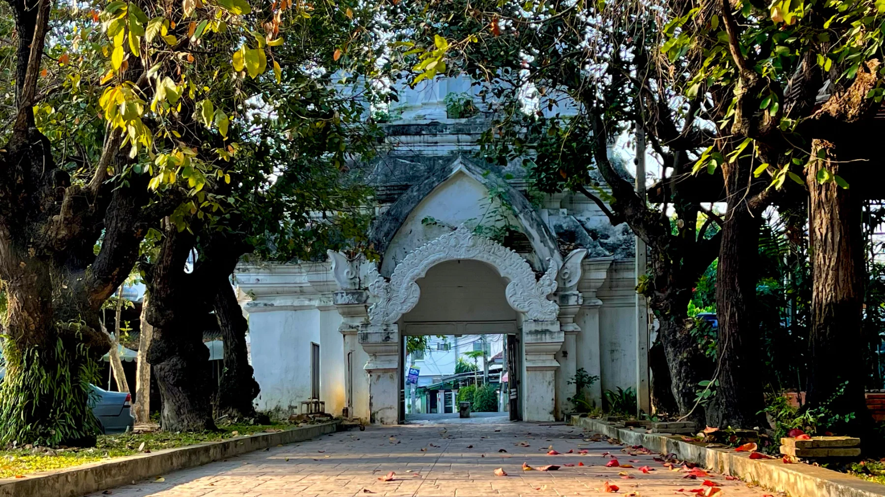 แกลเลอรีวัดบุปผาราม 1