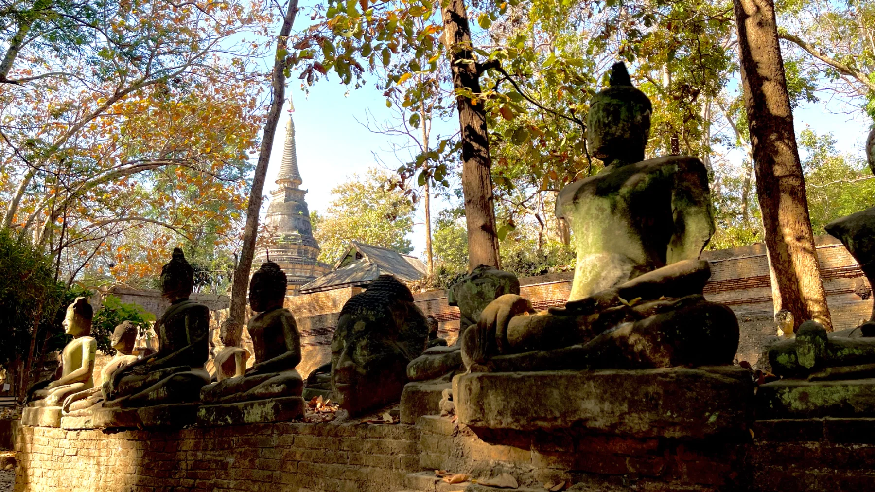 แกลเลอรีวัดอุโมงค์ สวนพุทธธรรม 10