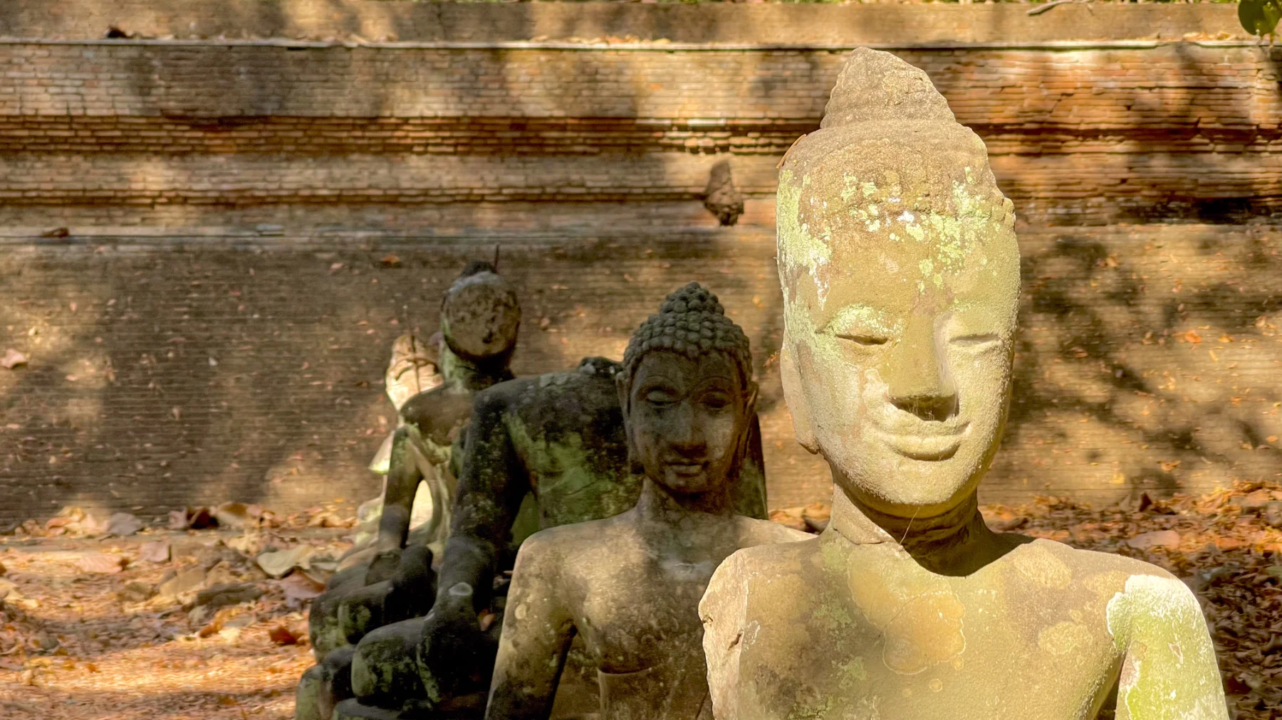 แกลเลอรีวัดอุโมงค์ สวนพุทธธรรม 11