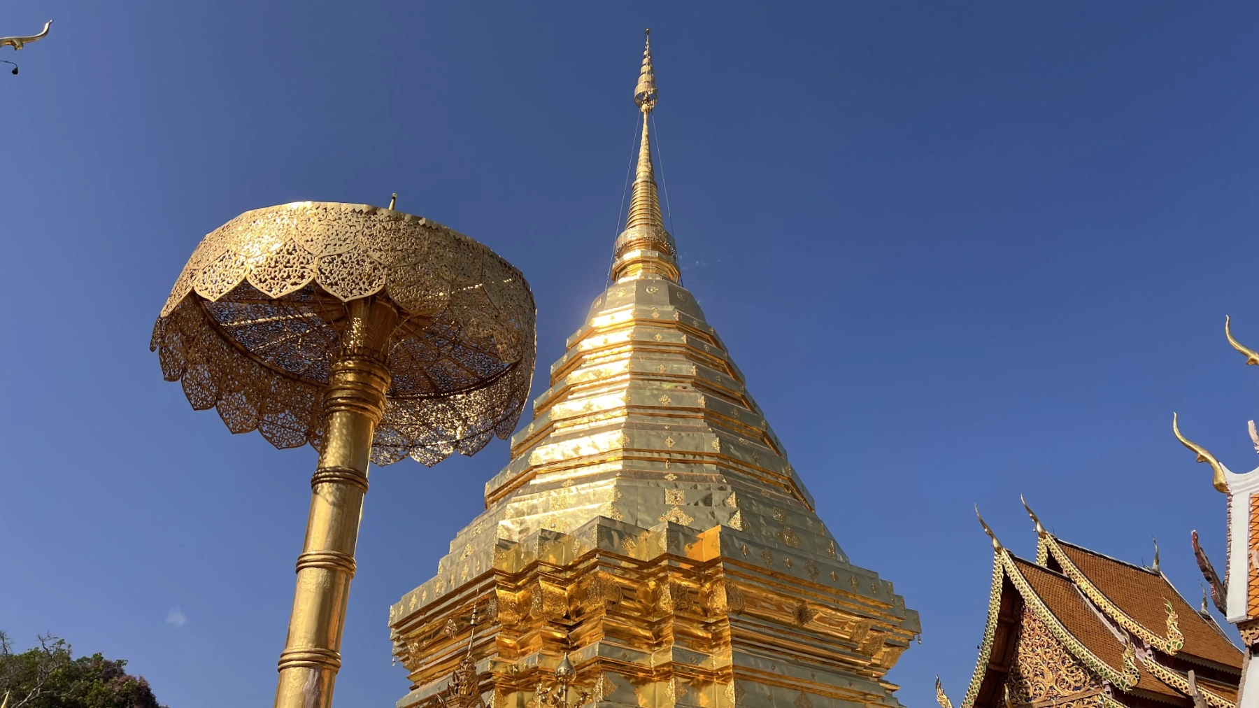 แกลเลอรีวัดพระธาตุดอยสุเทพ 5