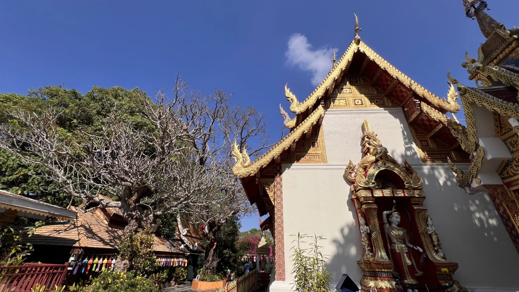 แกลเลอรีวัดพระธาตุดอยสุเทพ 6