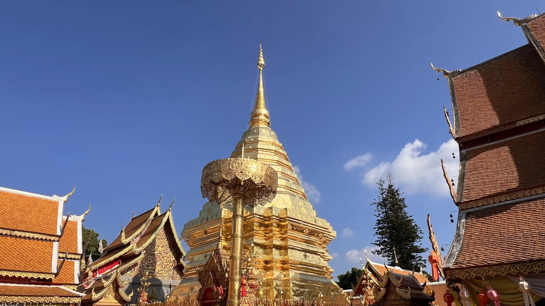 แกลเลอรีวัดพระธาตุดอยสุเทพ 8