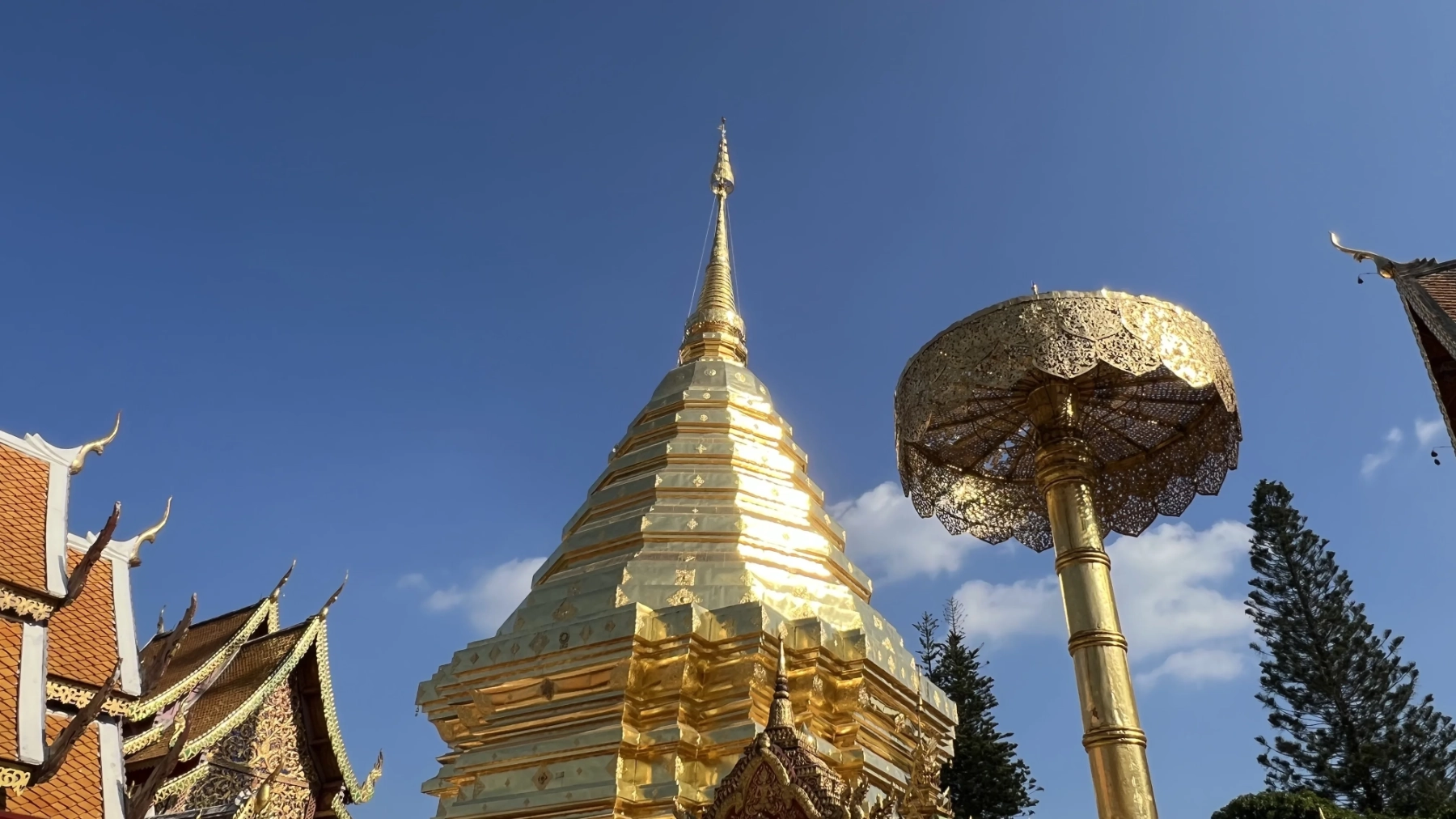 แกลเลอรีวัดพระธาตุดอยสุเทพ 16