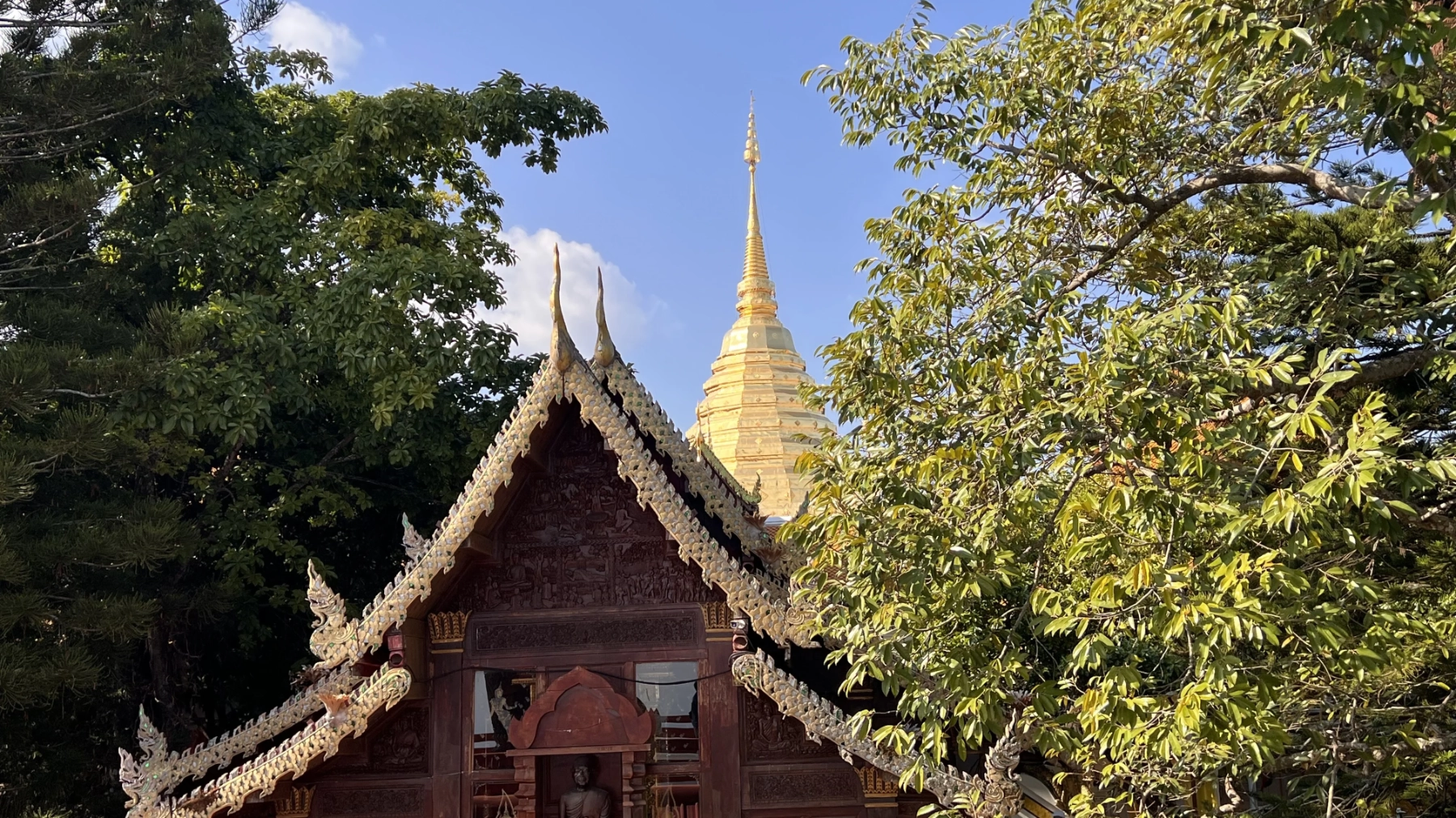แกลเลอรีวัดพระธาตุดอยสุเทพ 17